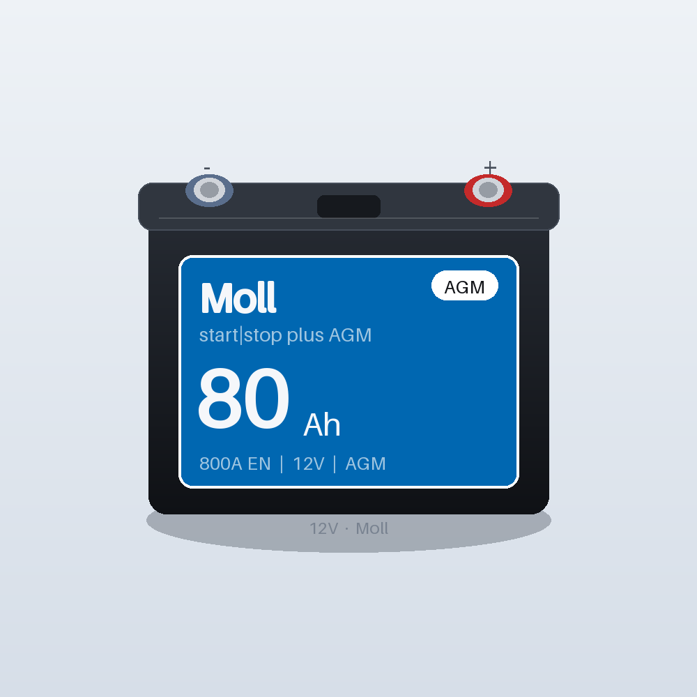 Moll start|stop plus AGM 80Ah